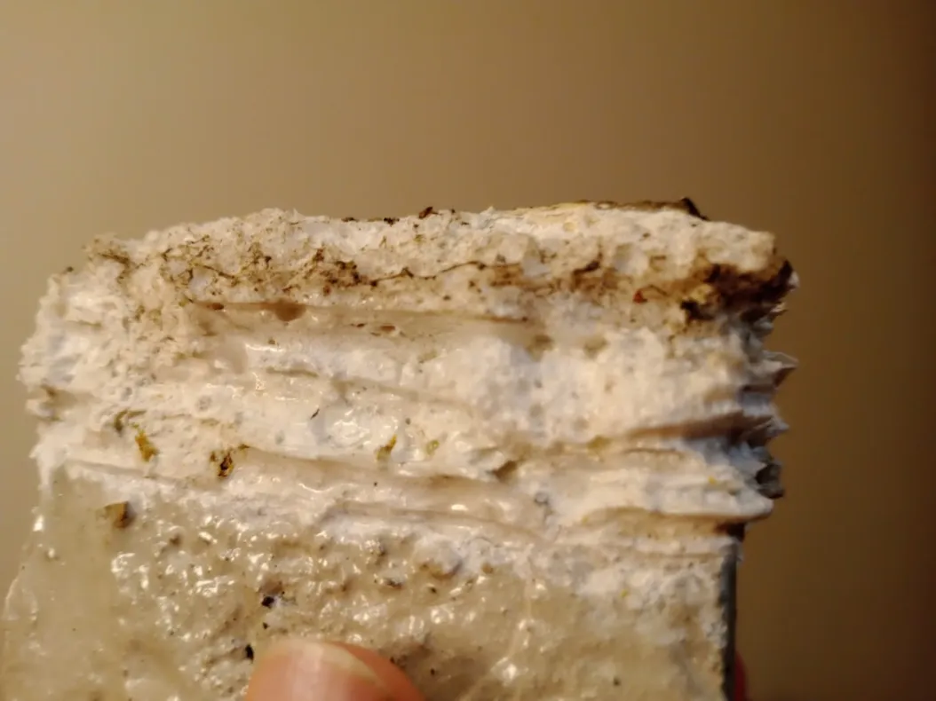 Close-up cross-section of accreted composite layering