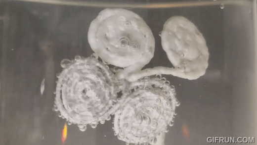 Carbonate formations nucleating on cathode surface under electrolysis